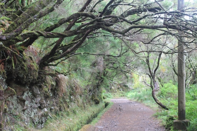 chemin randonnée des 25 fontaines à Madère