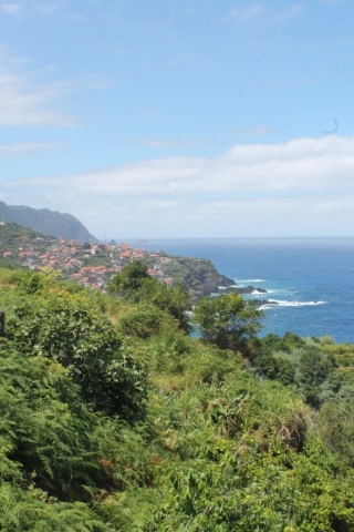 Côte ouest Madère Vue de la cote de Madère