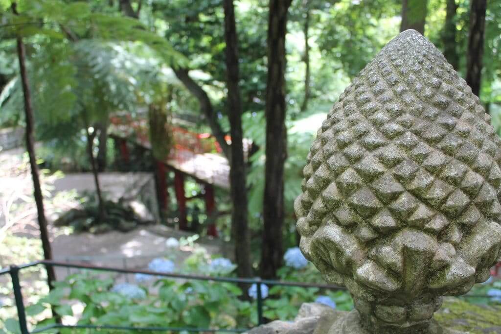 Jardin de Monte Palace à Madère