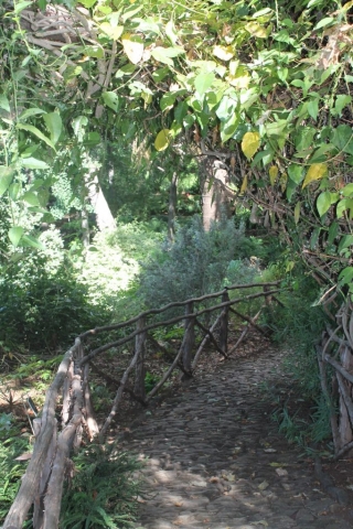 Jardin botanique de Funchal 3 Chemin du Jardin botanique à Funchal