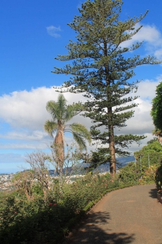 Jardin botanique de Funchal Jardin botanique à Funchal