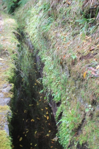 levada dans la randonnée des 25 fontaines