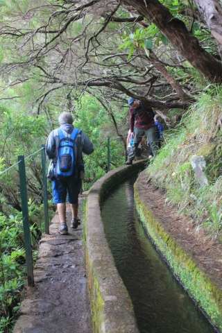 en suivant une levada randonnée des 25 fontaines à Madère