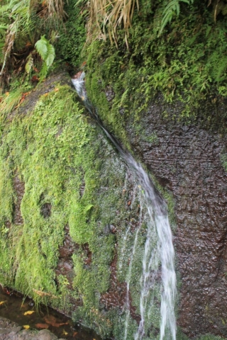 eau randonnée des 25 fontaines à Madère