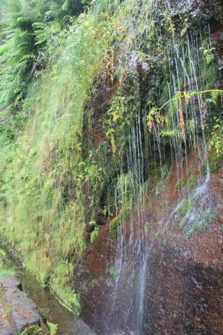 eau randonnée des 25 fontaines Madère