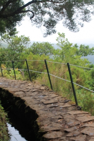 levada dans la randonnée des 25 fontaines à Madère