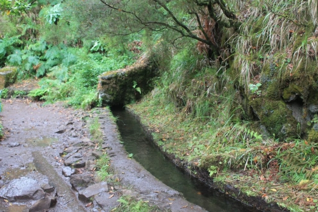 levada dans la randonnée des 25 fontaines à Madère