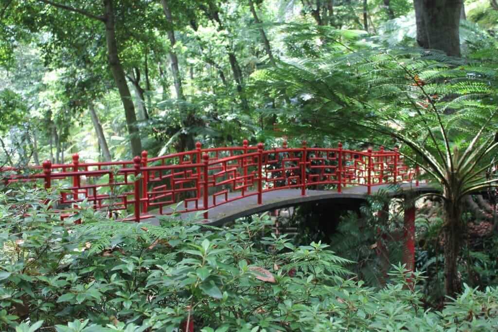 Pont dans le parc de Monte à Funchal