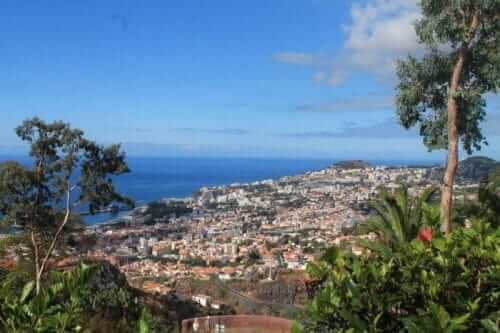 Vue sur Funchal depuis le jardin botanique de Funchal