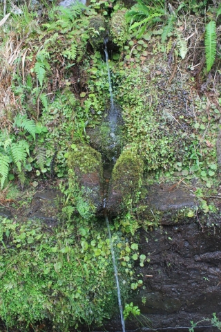 randonnée des 25 fontaines petite cascade