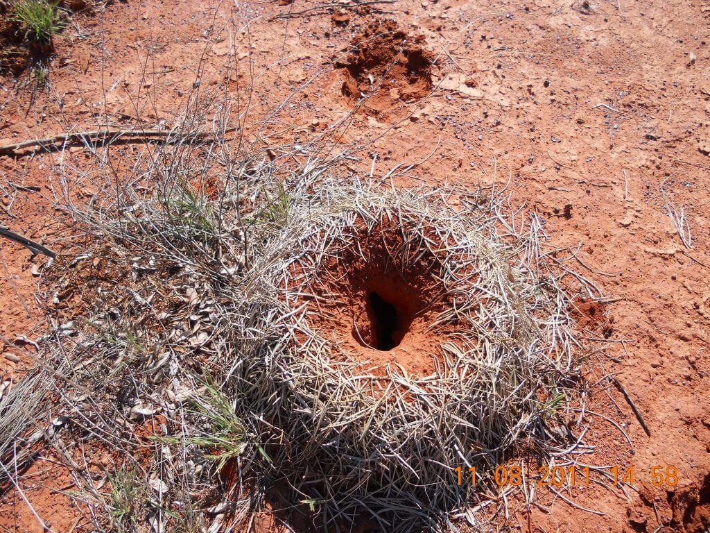 Drôle de trou sur une piste dans le centre rouge en Australie