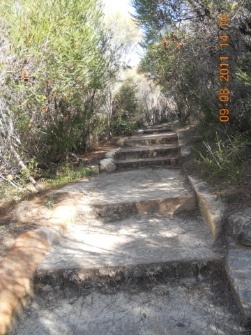 Manly Randonnée longeant la baie de Sydney (11) Chemin de randonnée dans le bush à Sydney en Australie