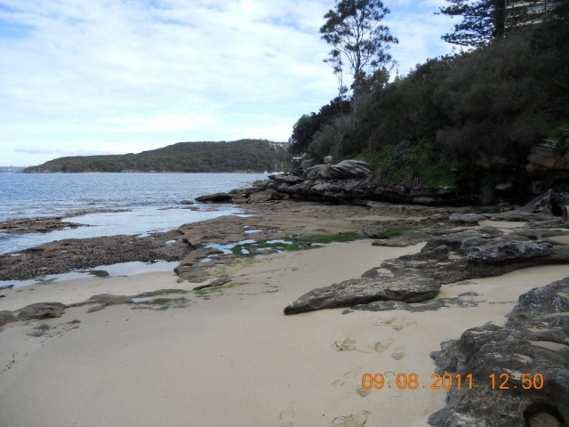Manly Randonnée longeant la baie de Sydney (6) plage baie de sydney en Australie