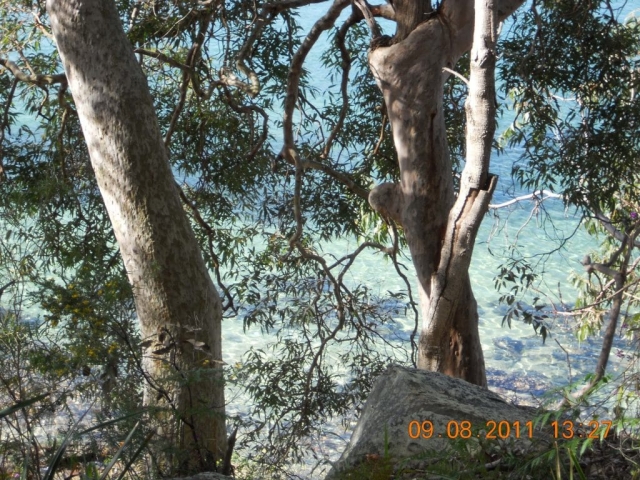 Manly Randonnée longeant la baie de Sydney (8) eau cristaline randonnée depuis Manly à Sydney en Australie