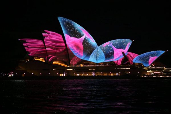 Opéra de Sydney projection rose et bleue Opéra de Sydney projection rose et bleue en Australie