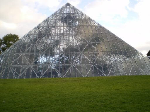 palmeraie du jardin botanique de Sydney