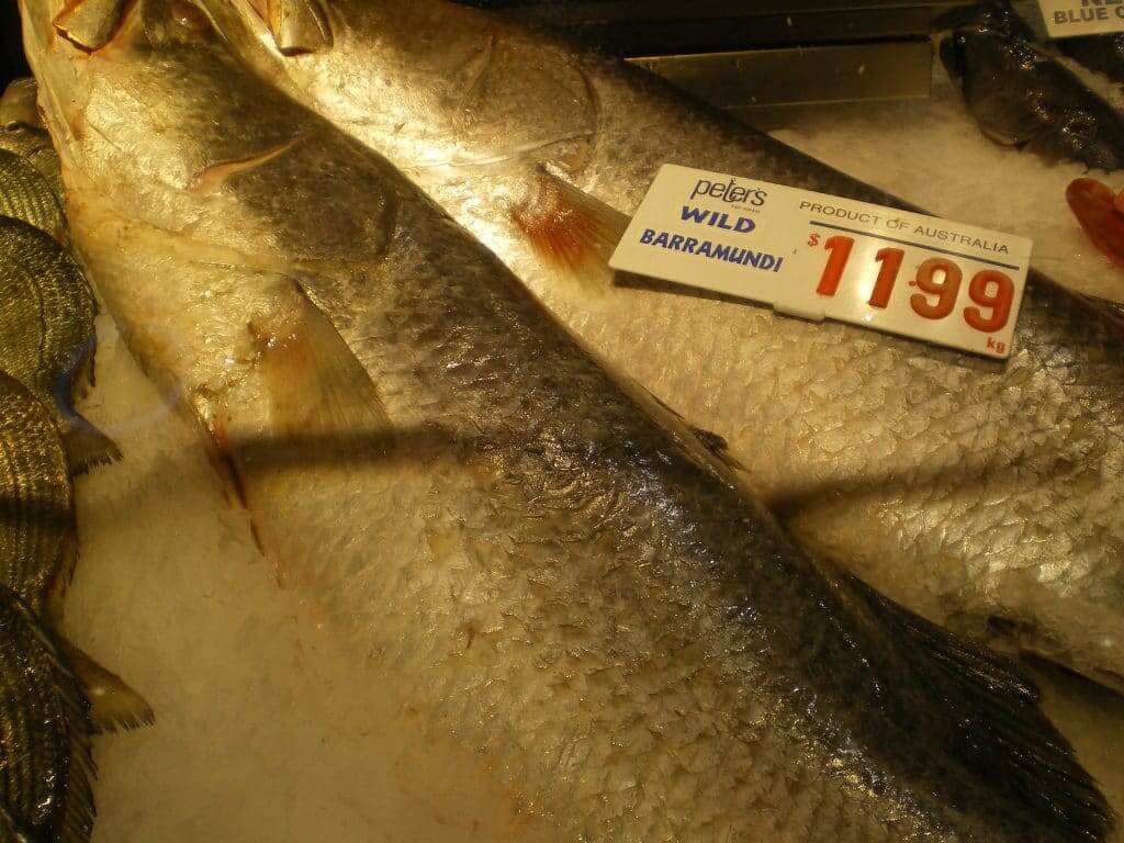 Barramundi Marché au poissons à Sydney