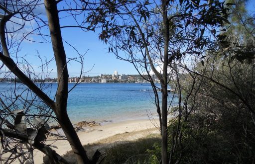 plage sur la Manly scenic walk en Australie