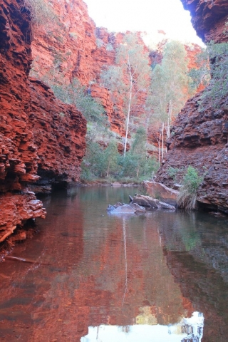 Au bout du chemin à Hancock Gorge Au bout du chemin à Hancock Gorge en Australie