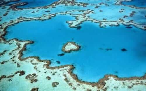 La grande barrière de corail en Australie