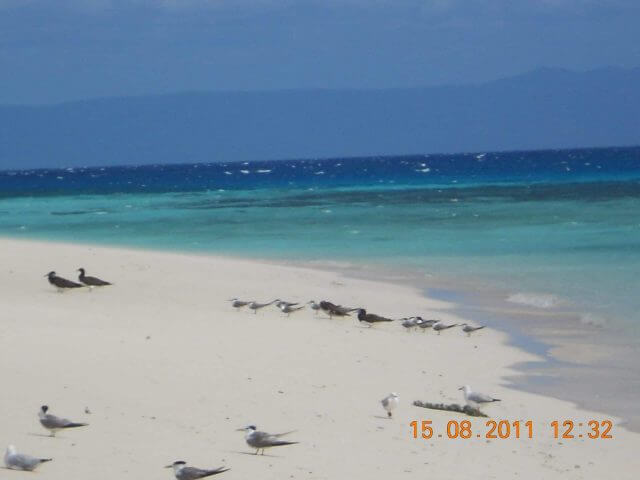 Plage sur un îlot sur la grande barrière de corail en Australie