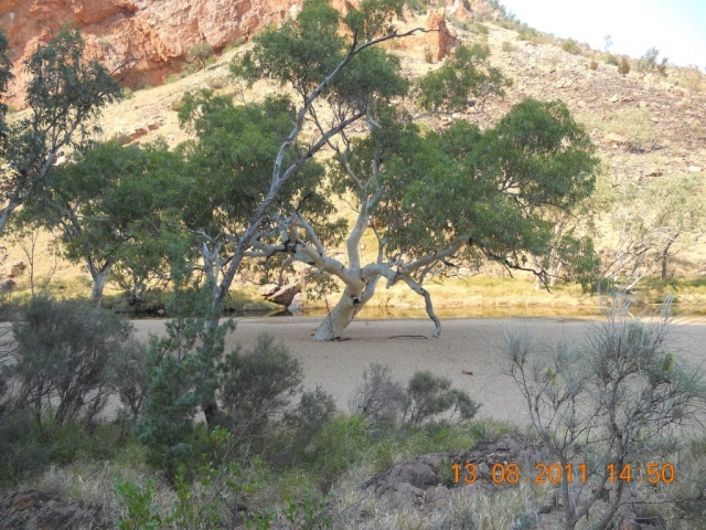 Simpson gap dans le centre rouge en Australie