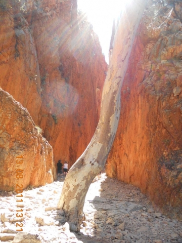 Staley Chasm dans le centre rouge en Australie