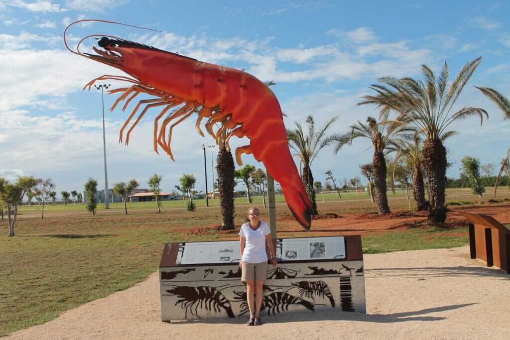 Crevette à Exmouth en australie