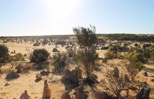 paysage dans le désert des Pinnacles en Australie