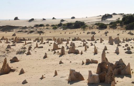 Désert des Pinncales au petit matin