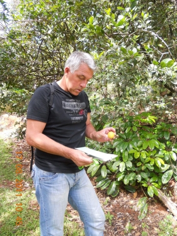 Eric au Rose gums wilderness Eric au Rose gums wilderness en australie