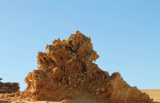désert des Pinnacles détail d'une formation calcaire dans le désert des Pinnacles en Australie