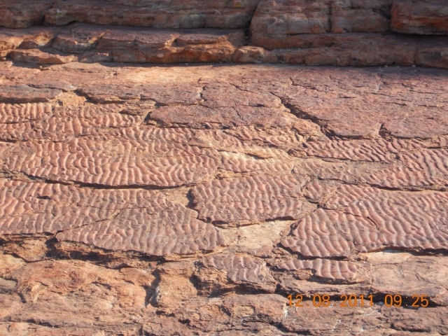Kings Canyon Vestige de vagues en Australie