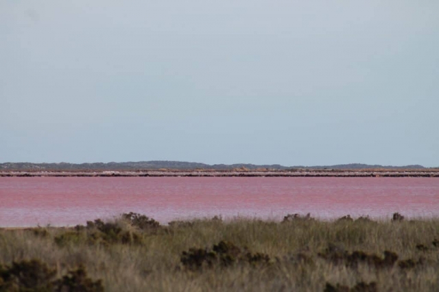 Lac rose en Australie Lac rose Kalbarri