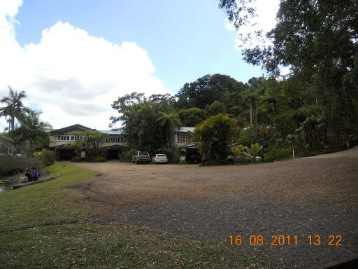 Maison de thé au bord du lac Barrine dans le queensland en Australie