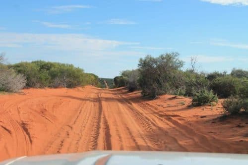 Piste de sable dans François Perron Park en Australie