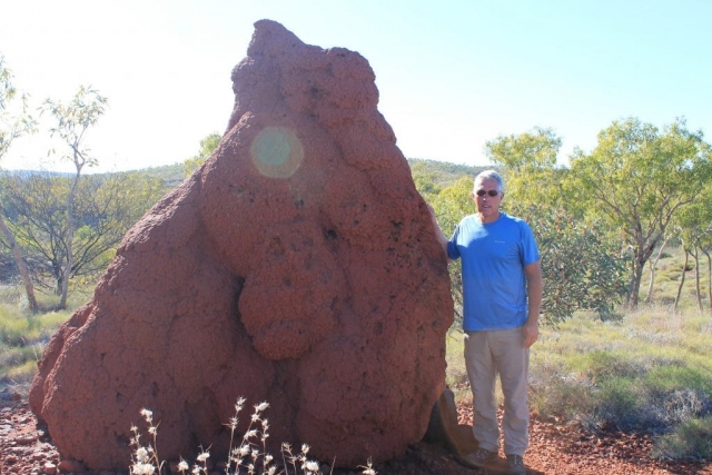 Termitière sur la route dans le parc de Karijini Termitière sur la route dans le parc de Karijini en Australie