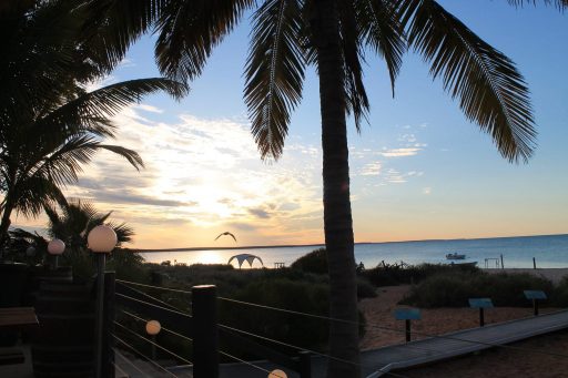 Terrasse-à-Monkey-Mia en Australie