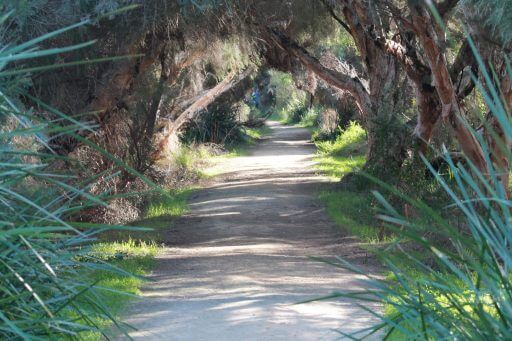 un-chemin-du-parc-national-de-Yanchep en Australie