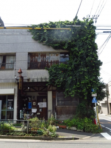 La végétation qui envahit la maison dans le quartier de Yanaka à Tokyo