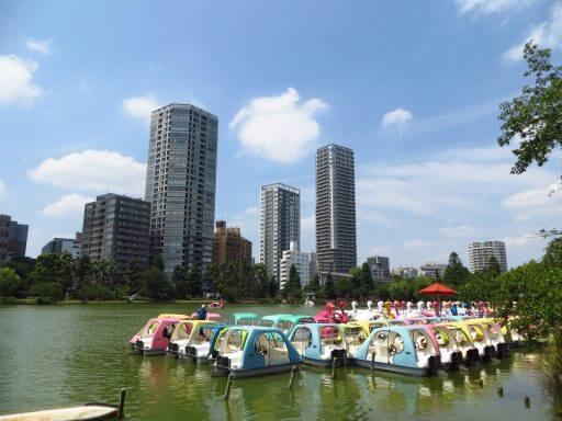 Pédalos sur l'étang Shinobazu dans le parc d'Ueno