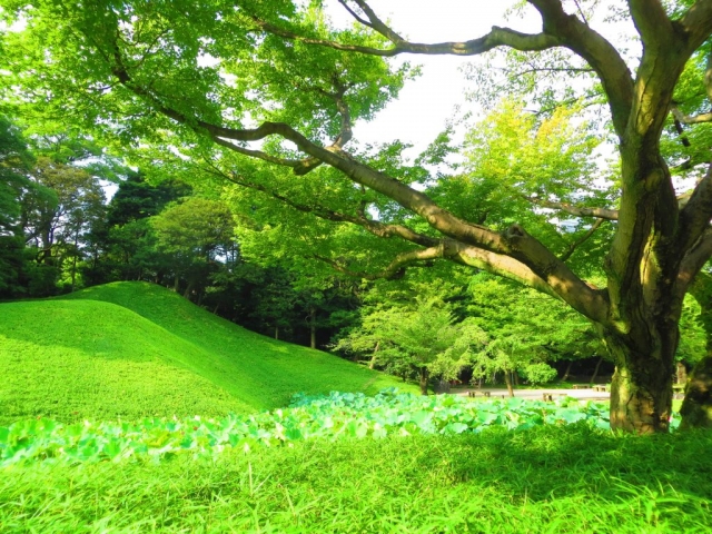 Parc Koishikawa Parc Koishikawa