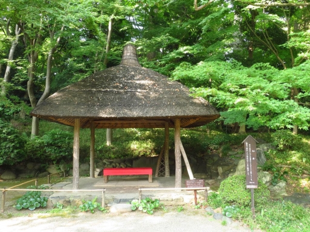 dans le parc Koishikawa dans le parc Koishikawa