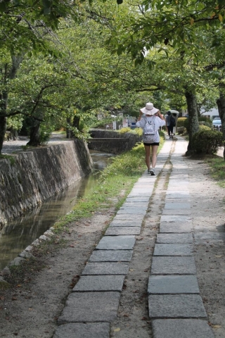 le long du chemin de la philosophie à Kyoto (2)