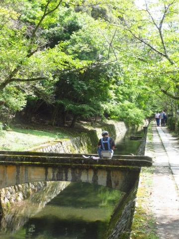 le long du chemin de la philosophie à Kyoto (4)