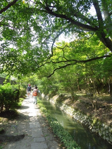 le long du chemin de la philosophie à Kyoto (7)