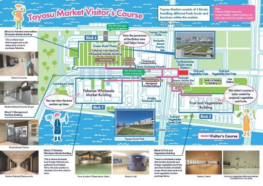 plan du marché aux poissons de Toyosu pour les visiteurs