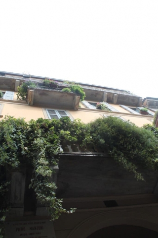 Végétation dans le quartier de Brera à Milan Végétation dans le quartier de Brera à Milan