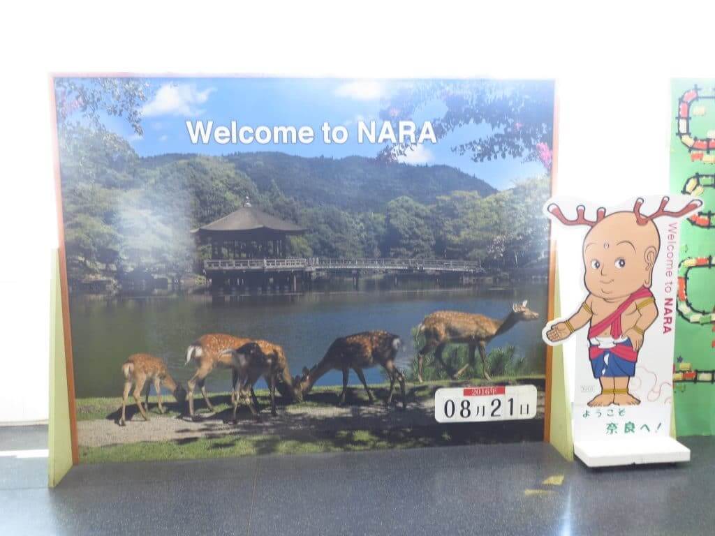 Welcome to Nara