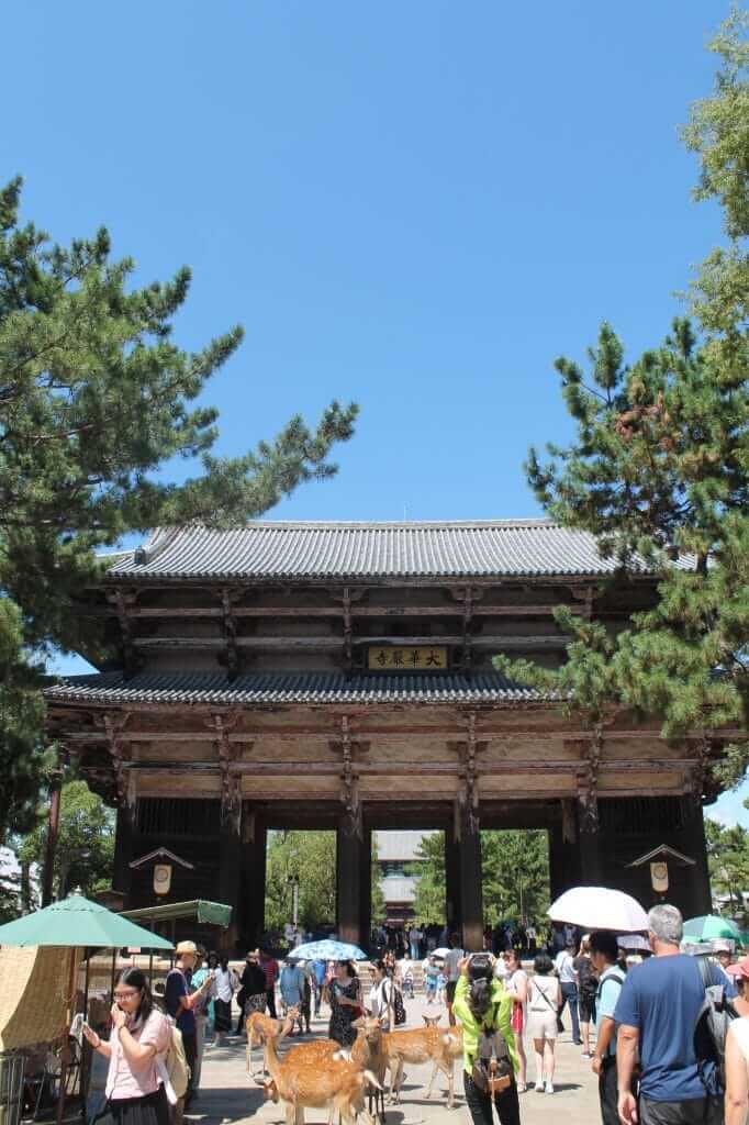 en arrivant au temple Todai-ji à Nara